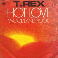 t-rex-discographie-compl-te